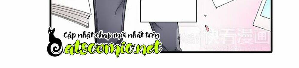 Mệnh Lệnh Tuyệt Đối Của Bá Đạo Vương Tử: Chapter 1