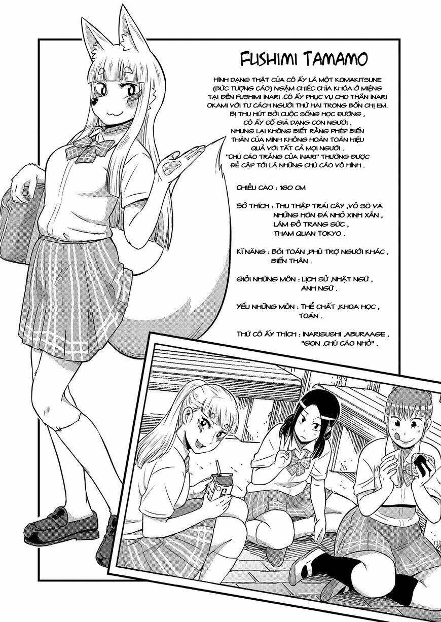 High School Inari Tamamo-Chan: Chapter 15.5