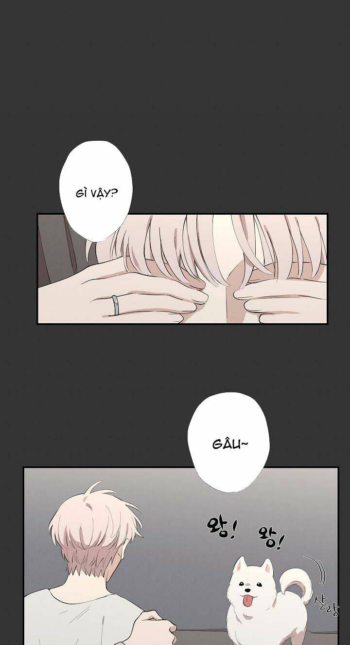 Trốn Tìm: Chapter 14