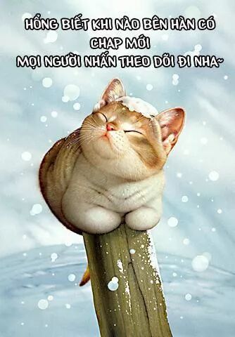 Tồn Tại Với Tư Cách Là Vợ Của Nam Chính: Chapter 102: Những người đàn ông trong lâu đài