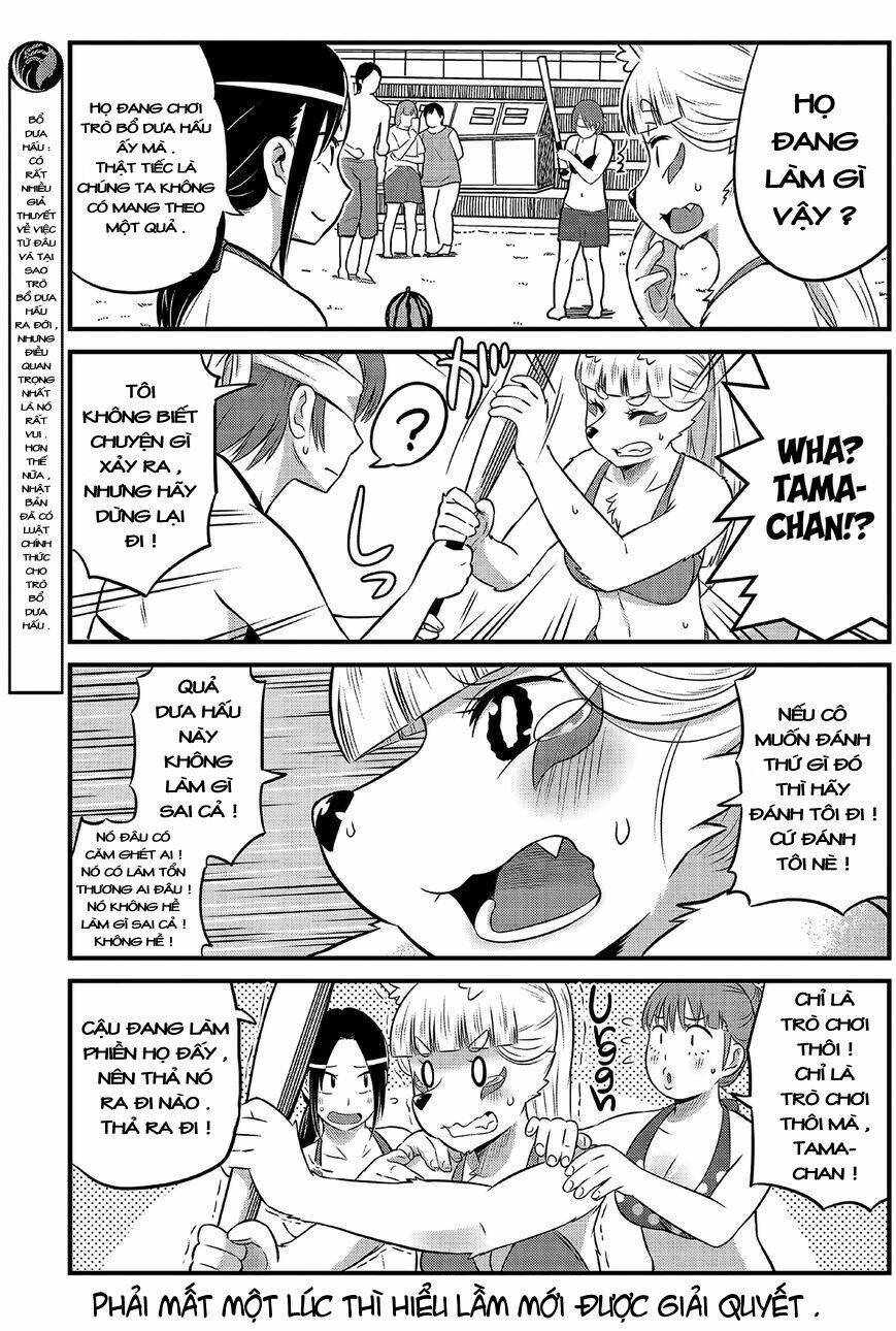 High School Inari Tamamo-Chan: Chapter 15