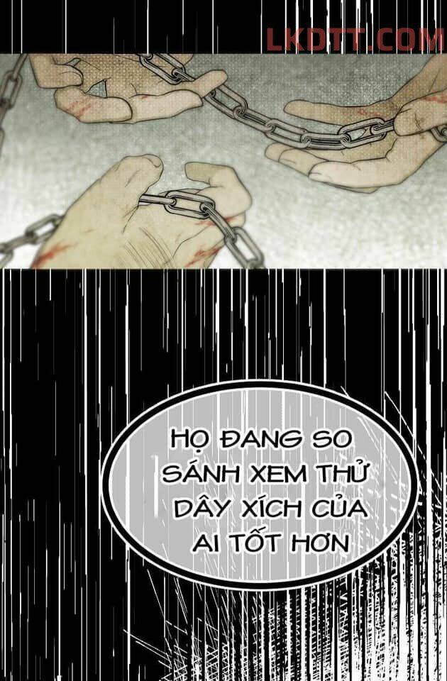 Mylord, Nữ Hoàng Của Loài Sói!: Chapter 9