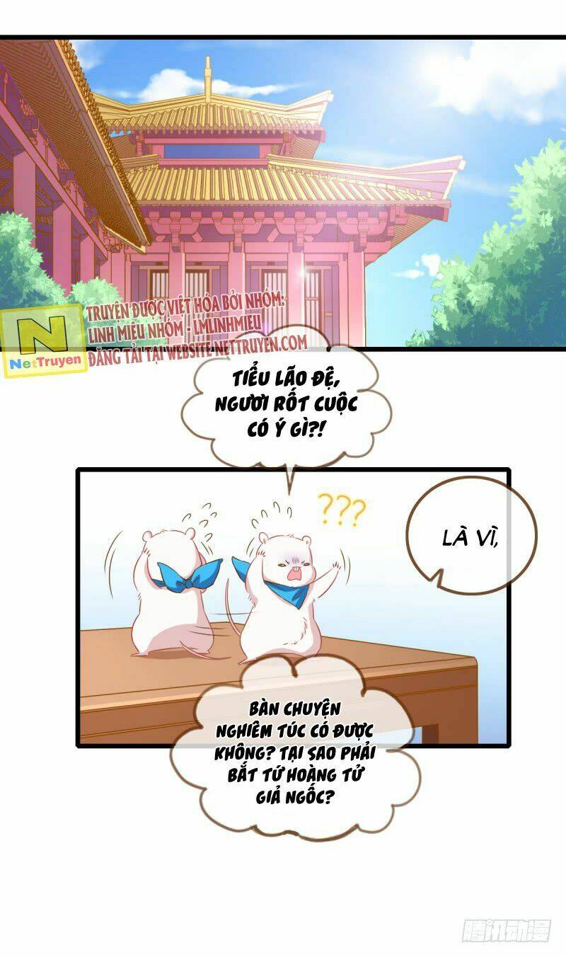 Hệ Thống Nghịch Tập: Chapter 9