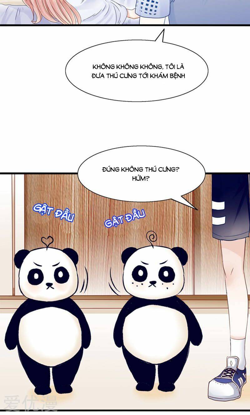 Tôi Bị Gấu Trúc Nhìn Trúng Rồi: Chapter 14