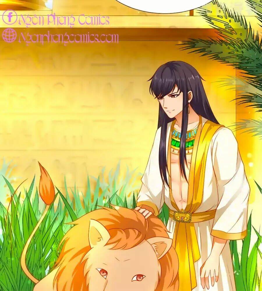 Sủng Hậu Của Vương: Chapter 4