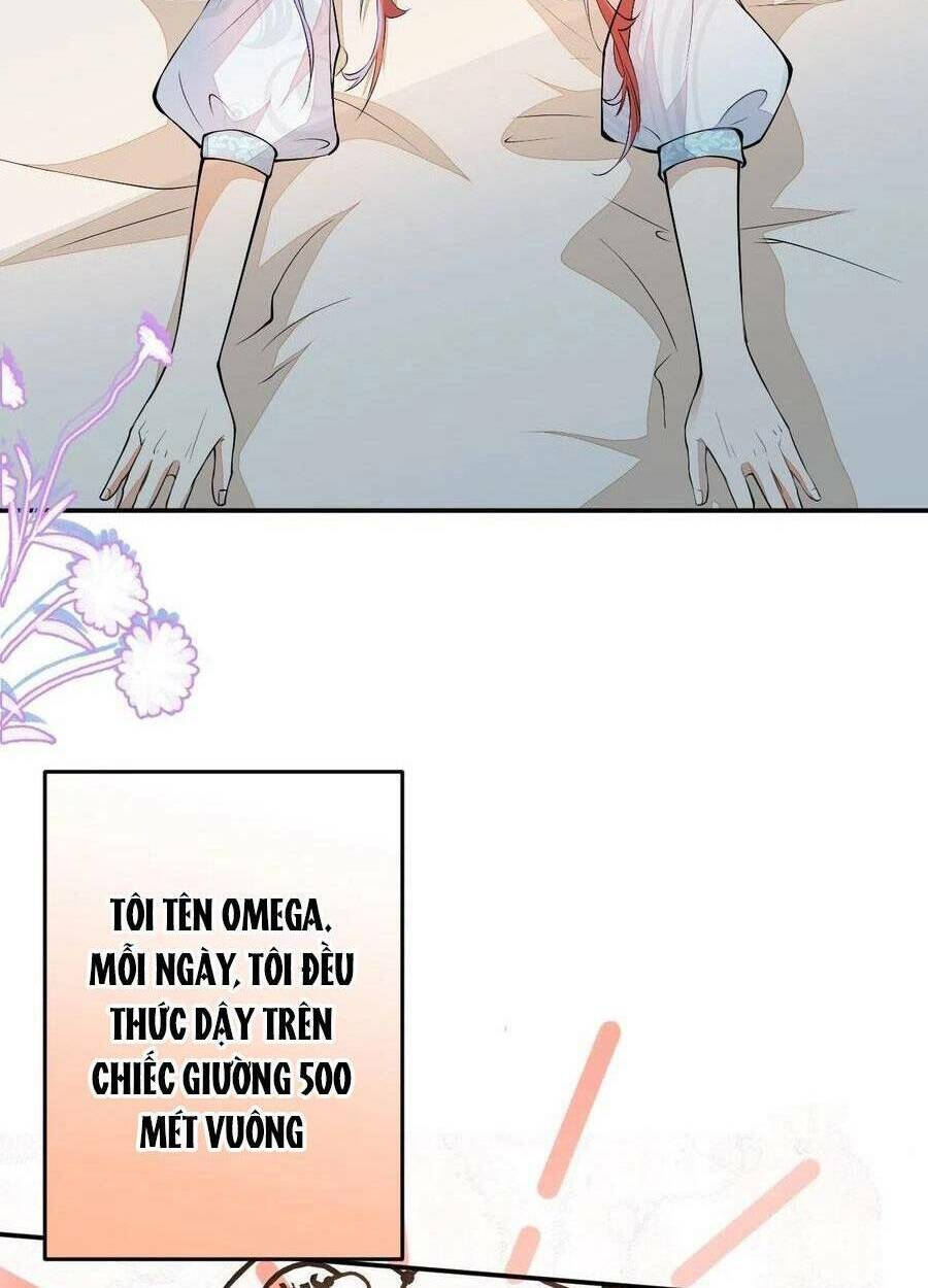 Xuyên Không Đến Thế Giới Trở Thành Đóa Hoa Của Anh: Chapter 62.5