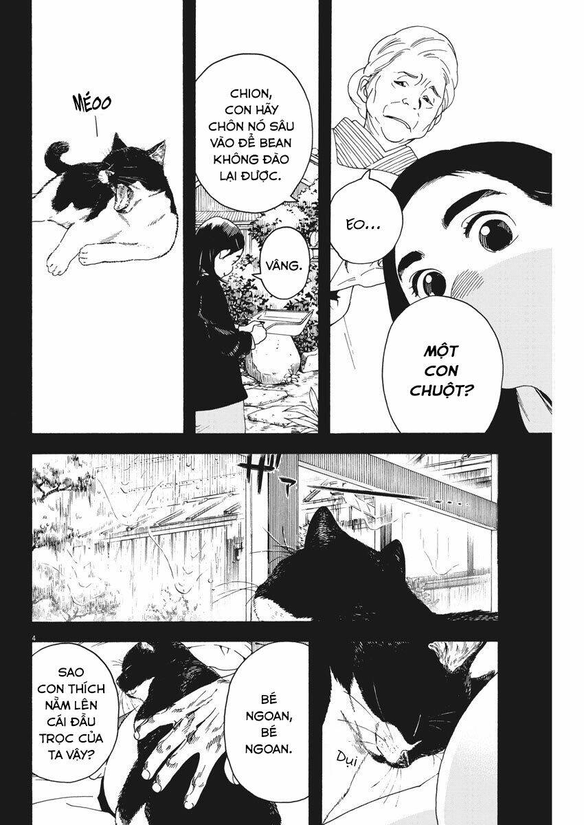 Neko No Otera No Chion-San: Chapter 68