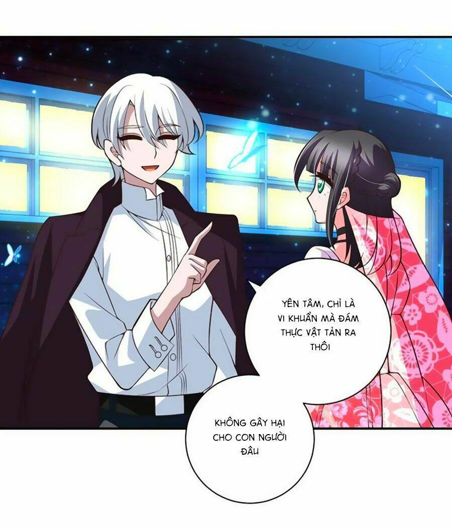 Người Yêu Khát Máu Của Tôi: Chapter 66