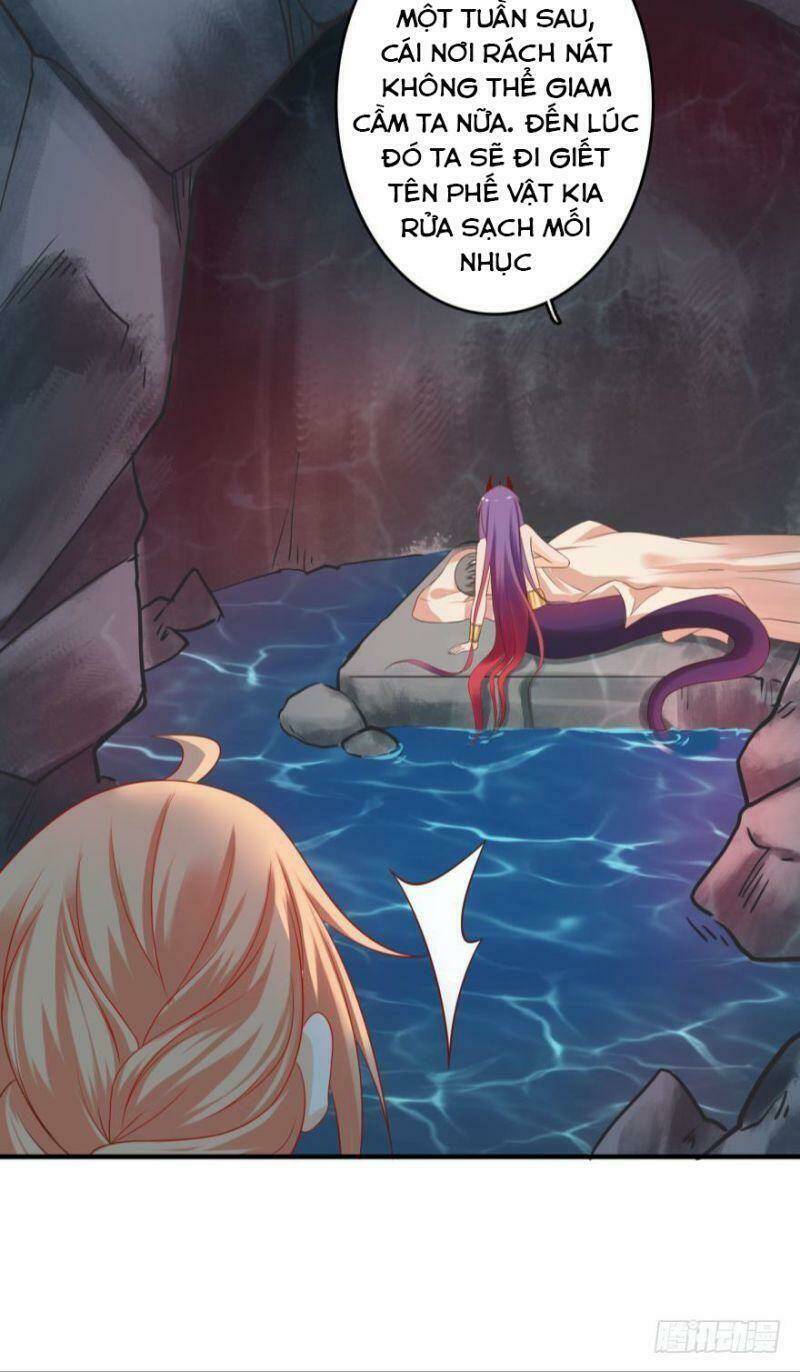 Nhân Ngư Học Trưởng, Đừng Ôm Ta!: Chapter 66