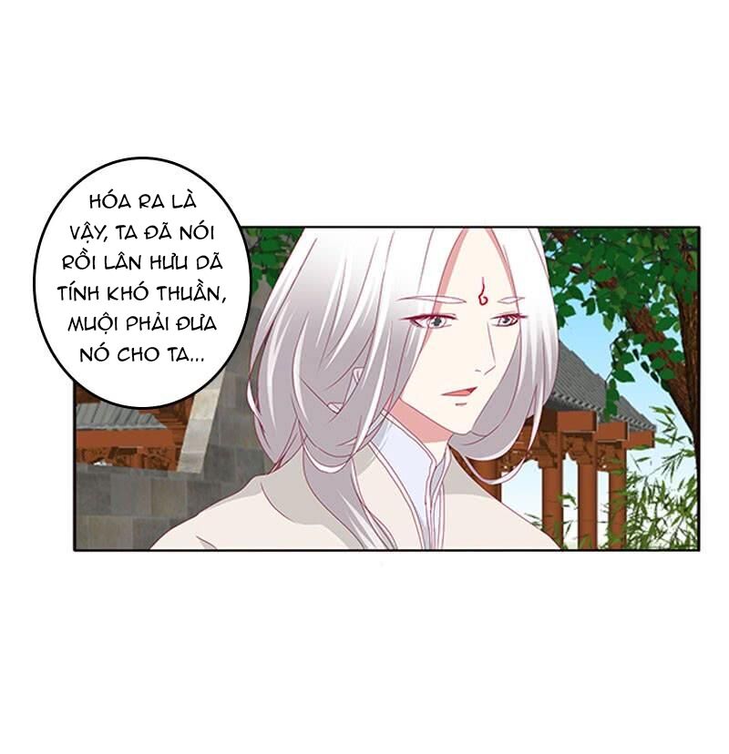 Thông Linh Phi: Chapter 402
