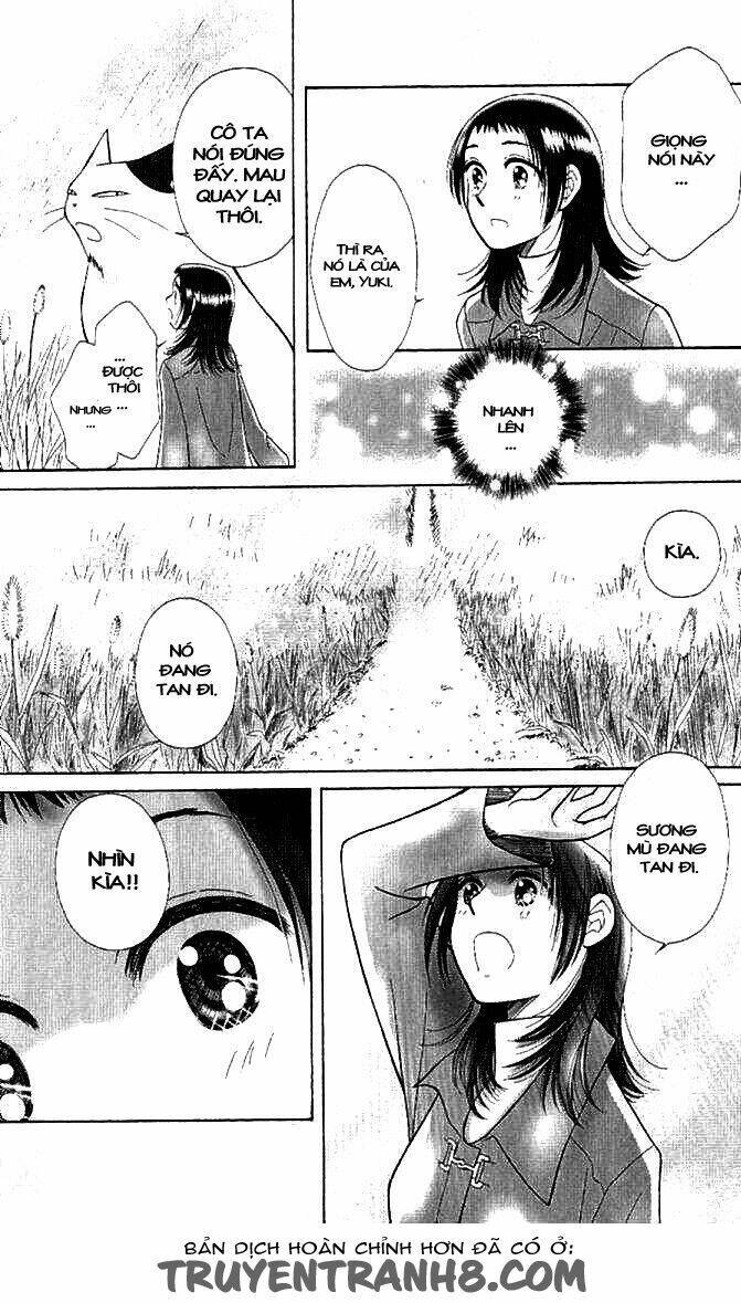 Lời Thì Thầm Từ Trái Tim: Chapter 8