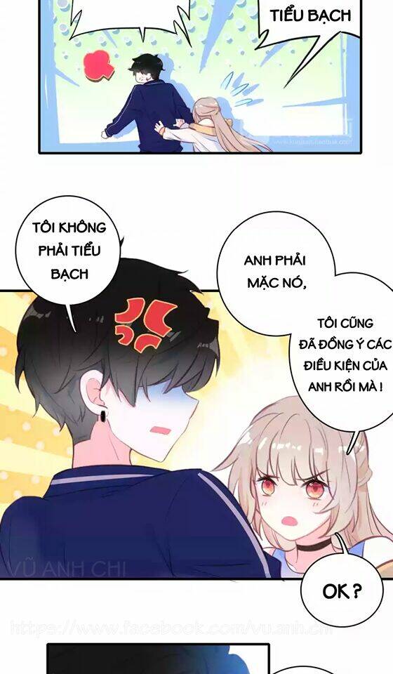 Tinh Diệu Vị Lai: Chapter 6