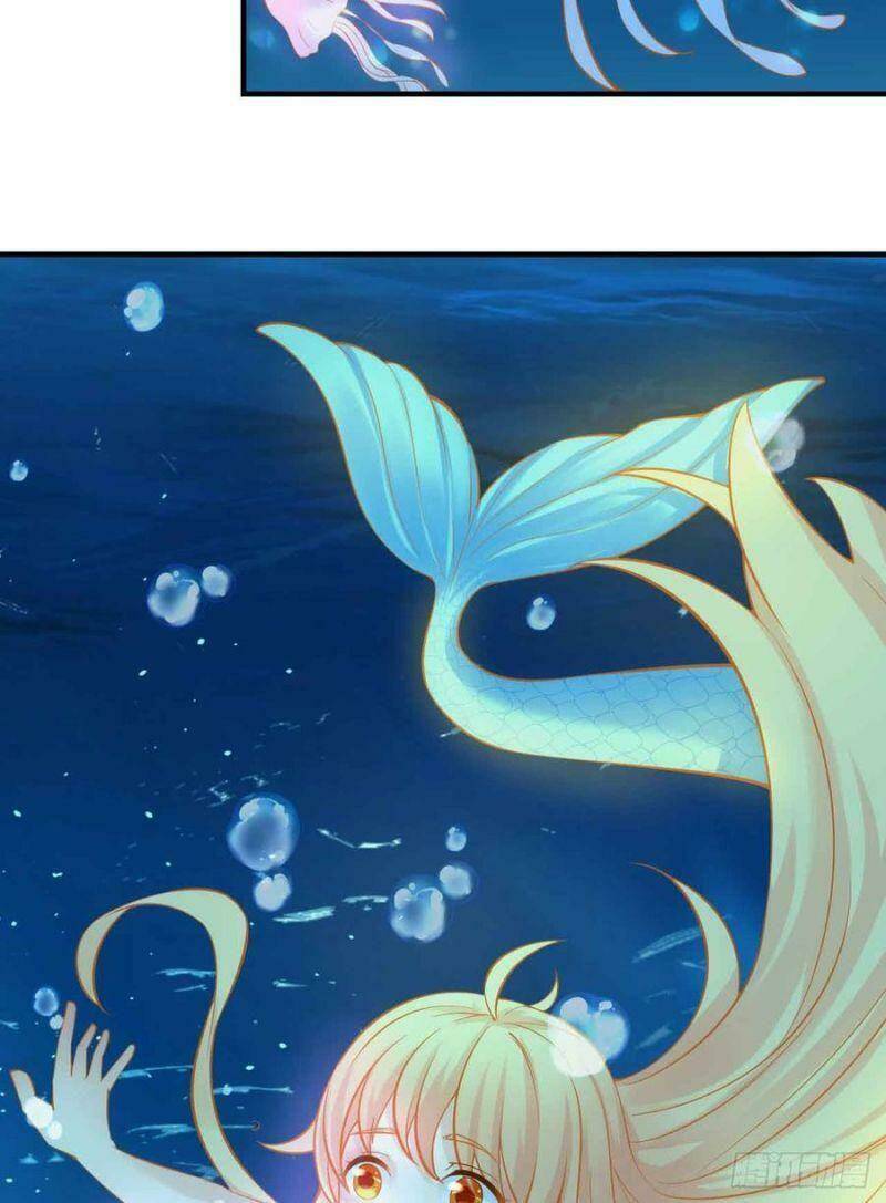 Nhân Ngư Học Trưởng, Đừng Ôm Ta!: Chapter 84