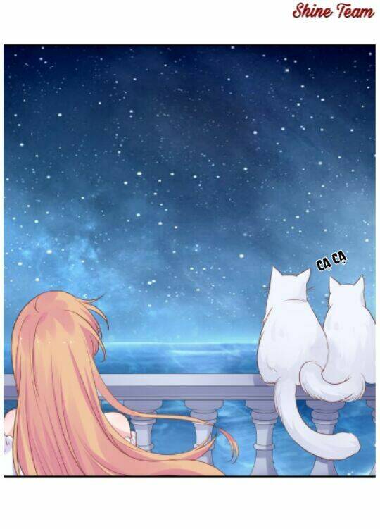 Mật Thất Vây Người Cá: Chapter 4.5