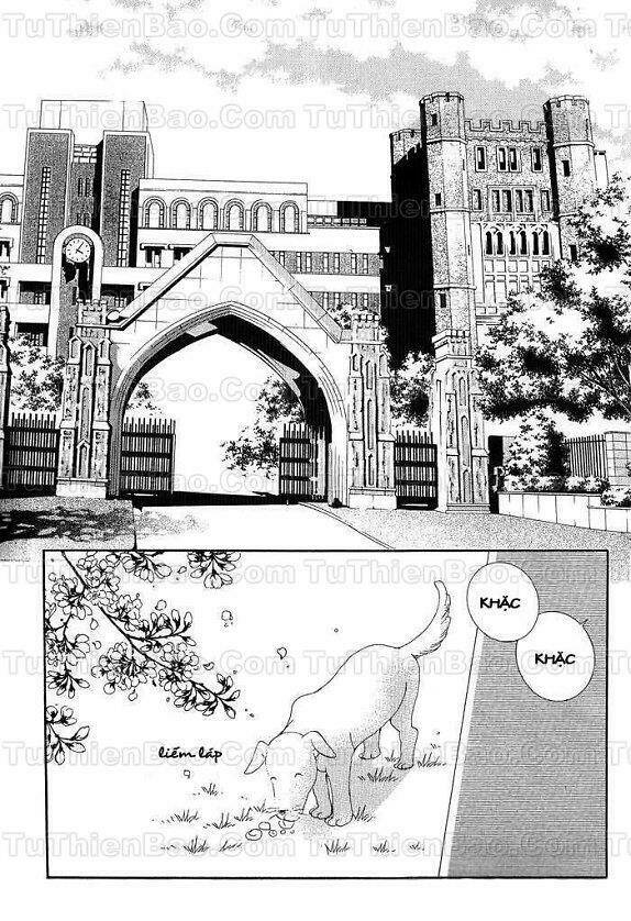 Lọ Lem Hậu Đậu: Chapter 1