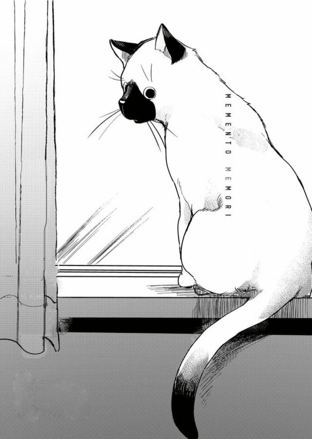 Memento Memori: Chapter 10