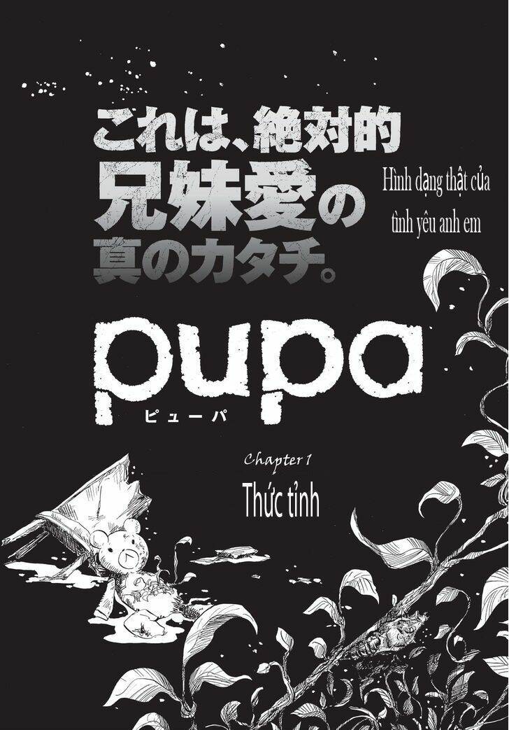 Pupa: Chapter 1