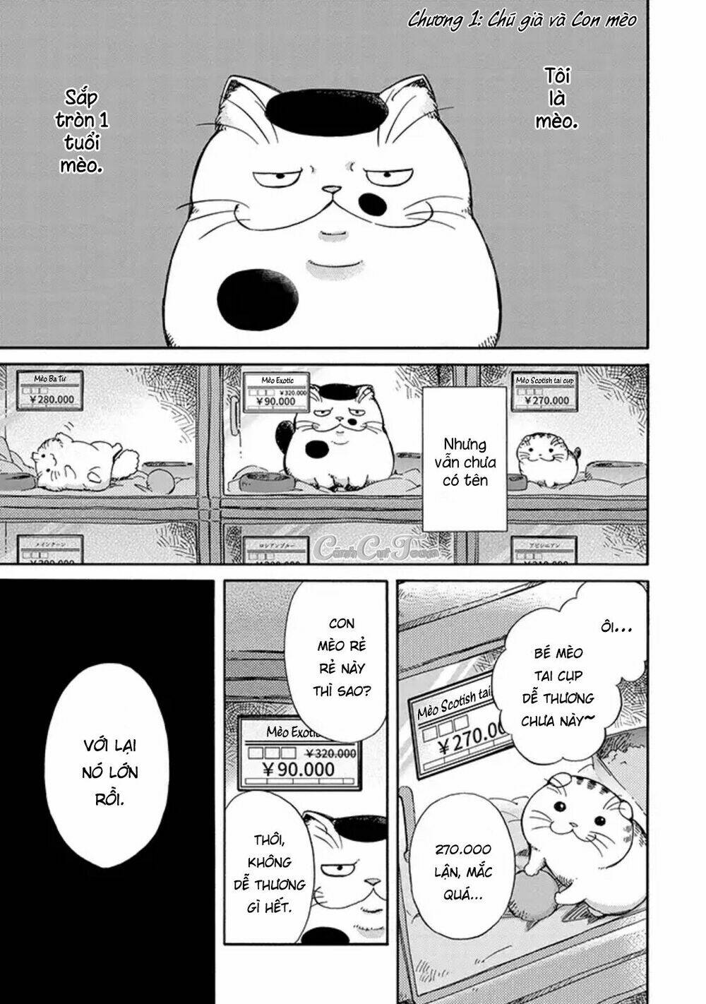 Ông Chú Và Con Mèo Mặt Bựa: Chapter 3