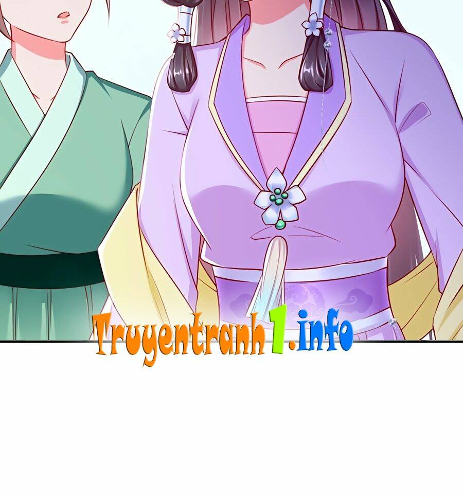 Vương Phi Là Đoá Bạch Liên Hoa: Chapter 2