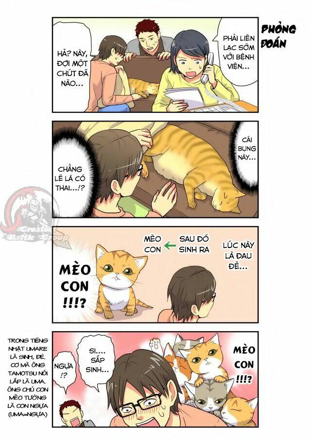 Cat is silver vine: Chapter 12