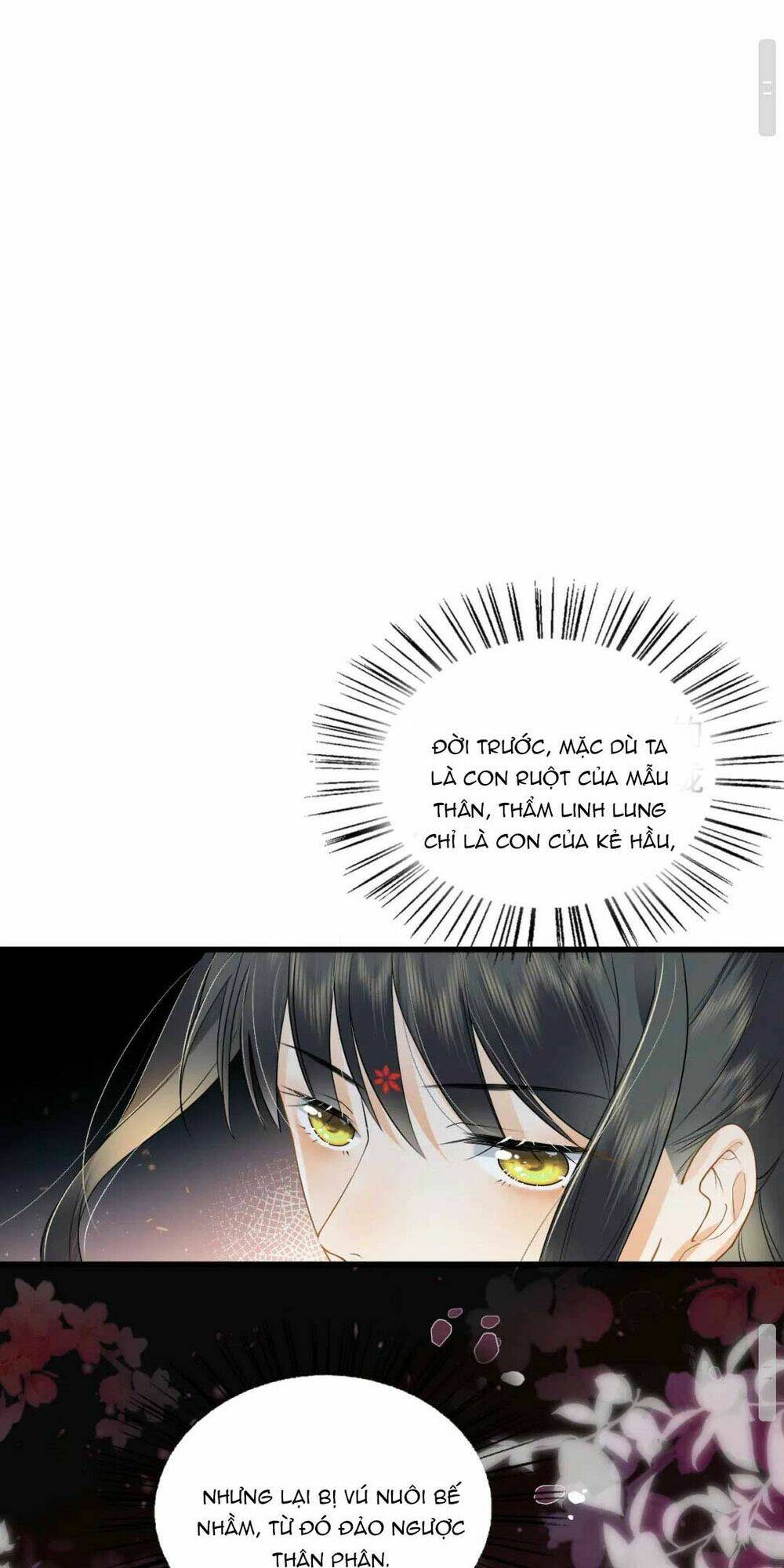 TRỌNG SINH TRỞ LẠI ! TA NHẤT ĐỊNH SẼ BẢO VỆ NÀNG CHU TOÀN !: Chapter 2