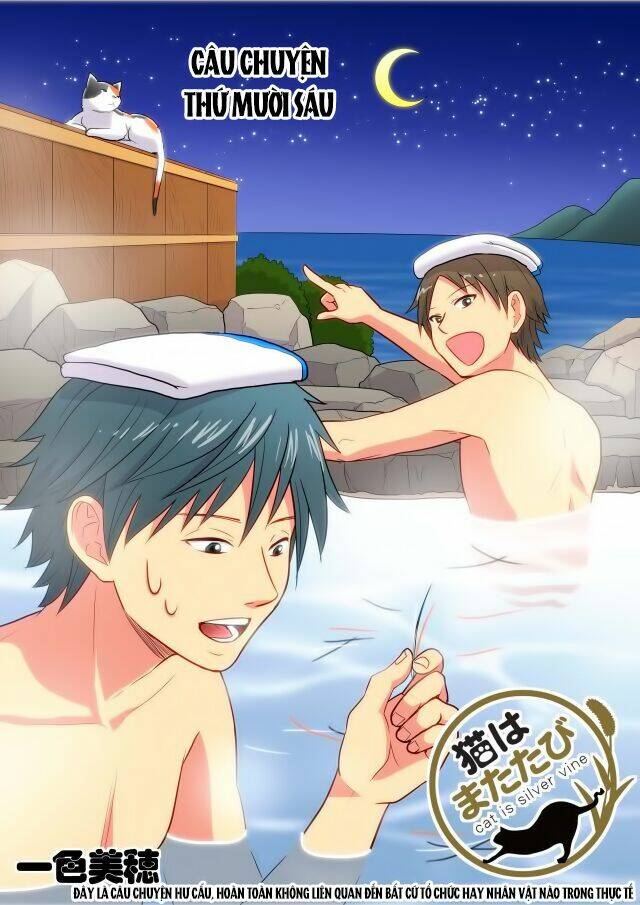 Cat is silver vine: Chapter 16