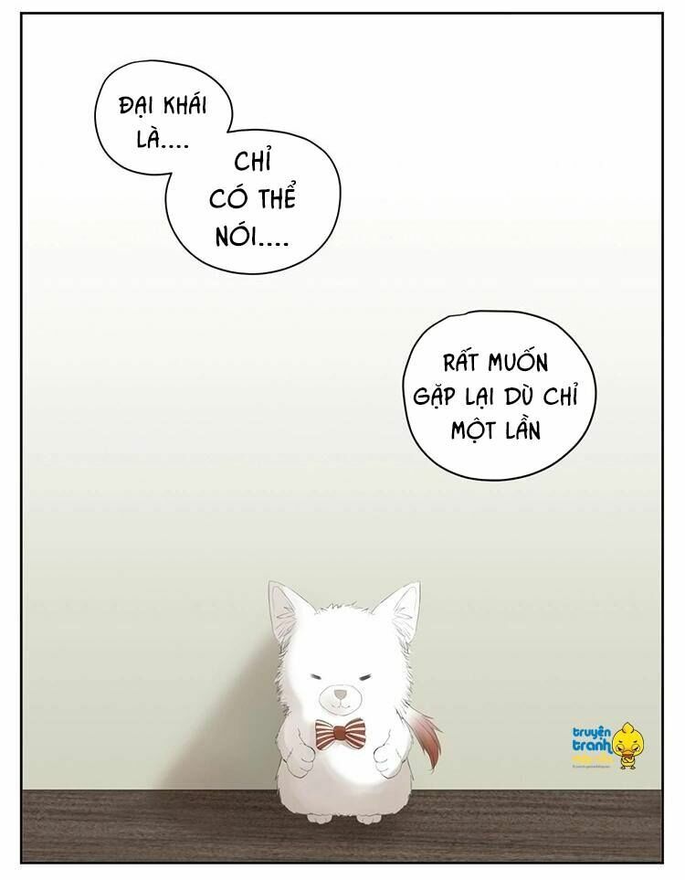 Cứu mạng ! Loài mèo thống trị thế giới rồi !: Chapter 27