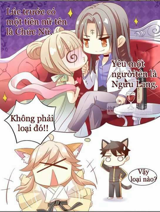 Dưới Móng Vuốt Mèo: Chapter 9