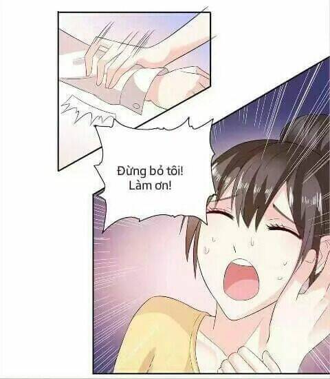 1 Nửa Hoàn Hảo Của Ceo: Chapter 29