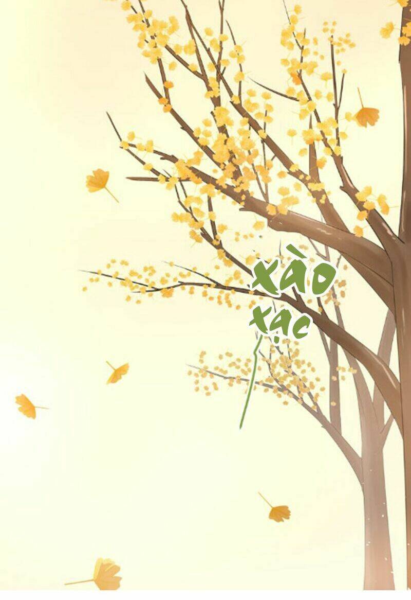 Đầu Gấu Biết Yêu: Chapter 105