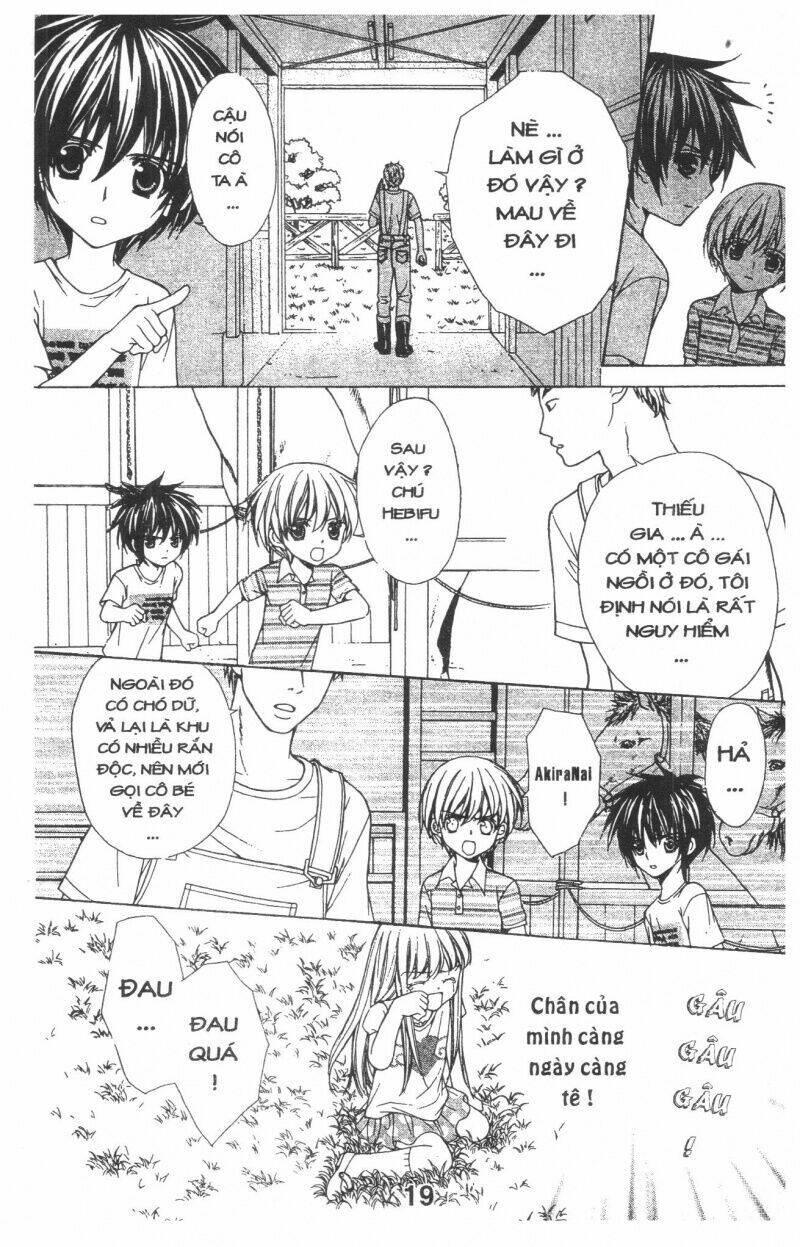 Trái Tim Kim Cương: Chapter 1