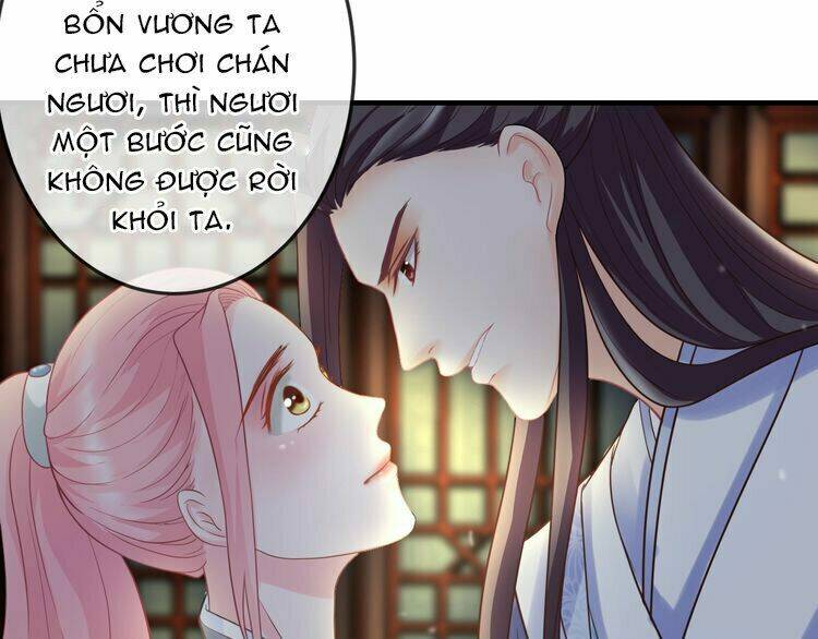 Báo Cáo Vương Gia, Vương Phi Là Một Con Mèo: Chapter 3