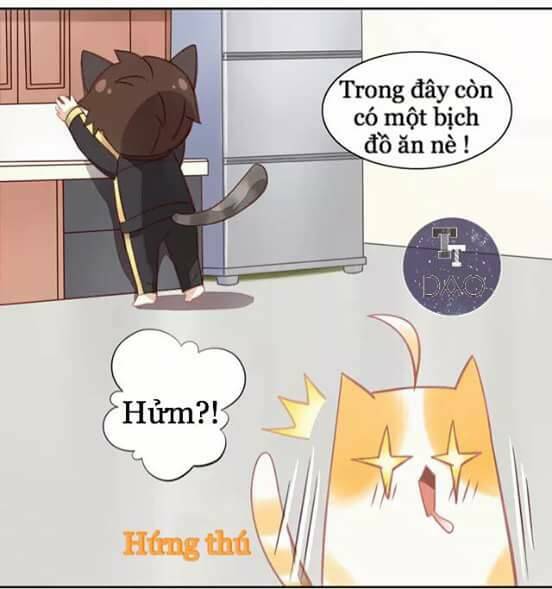 Dưới Móng Vuốt Mèo: Chapter 6