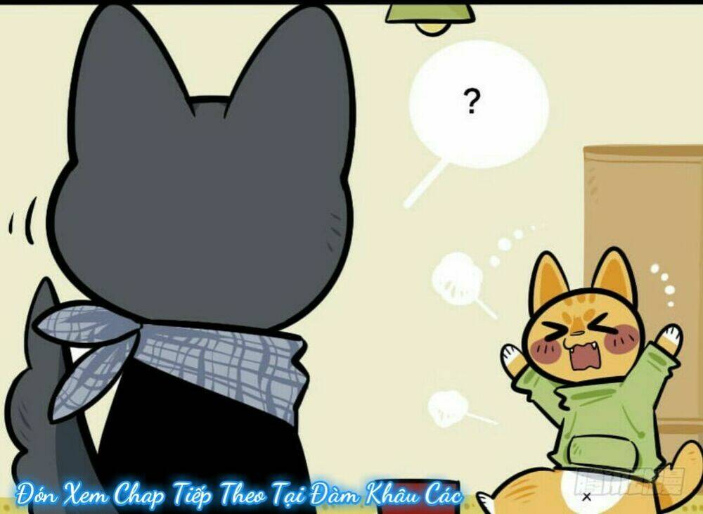 Đời Không Như Mình Tưởng: Chapter 19