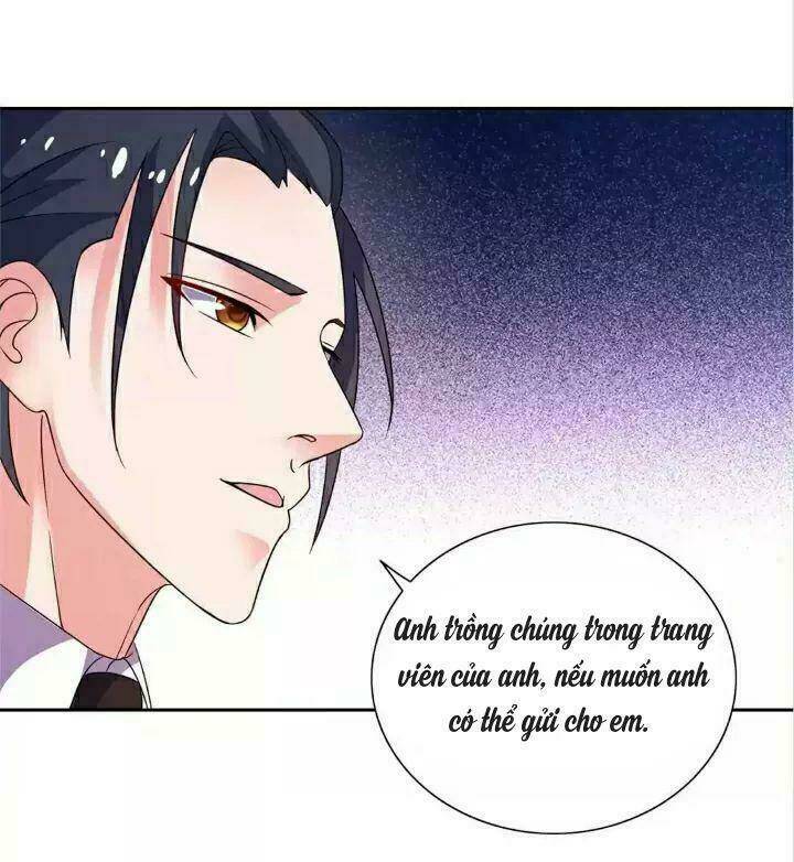 1 Nửa Hoàn Hảo Của Ceo: Chapter 46