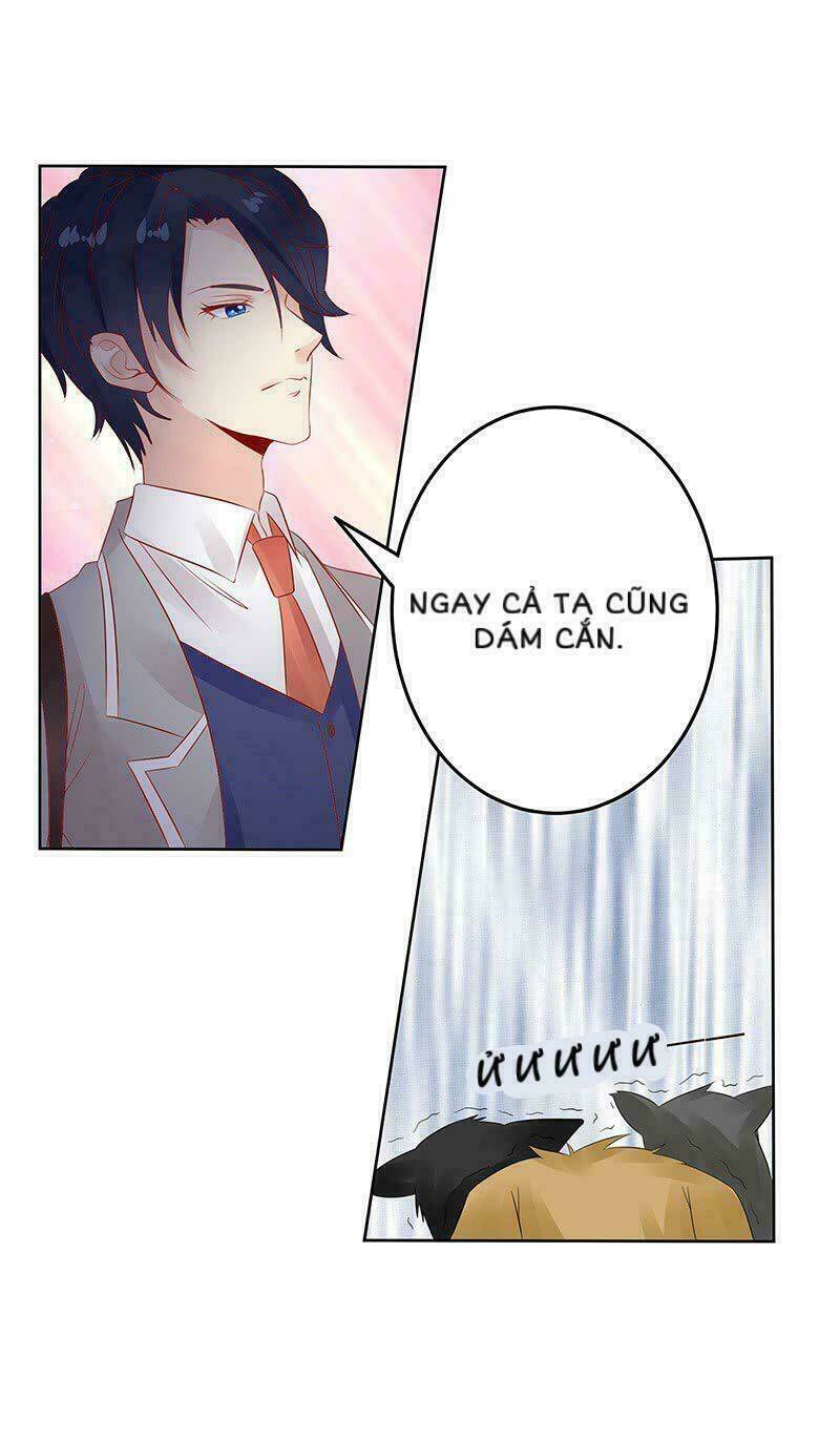 Băng Sơn Học Trưởng Không Được Chọc: Chapter 13