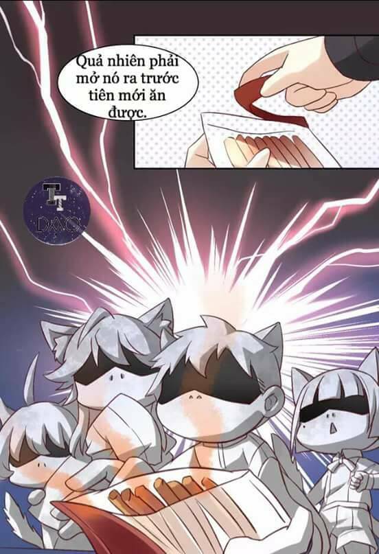 Dưới Móng Vuốt Mèo: Chapter 6