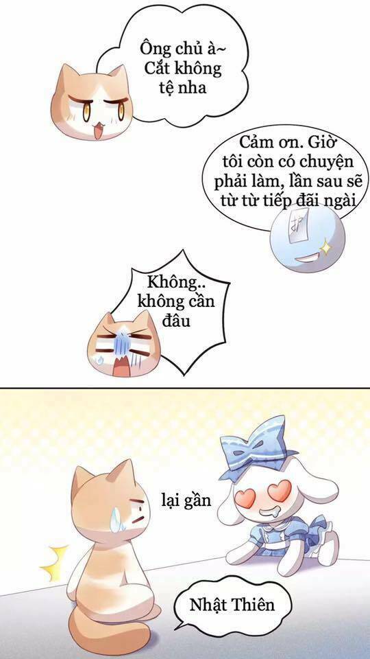 Dưới Móng Vuốt Mèo: Chapter 17