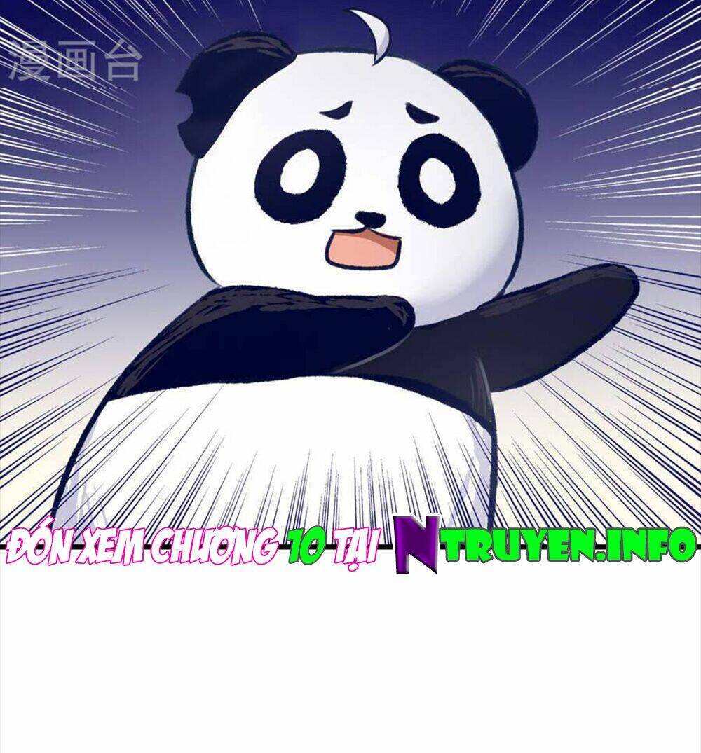 Tôi Bị Gấu Trúc Nhìn Trúng Rồi: Chapter 9