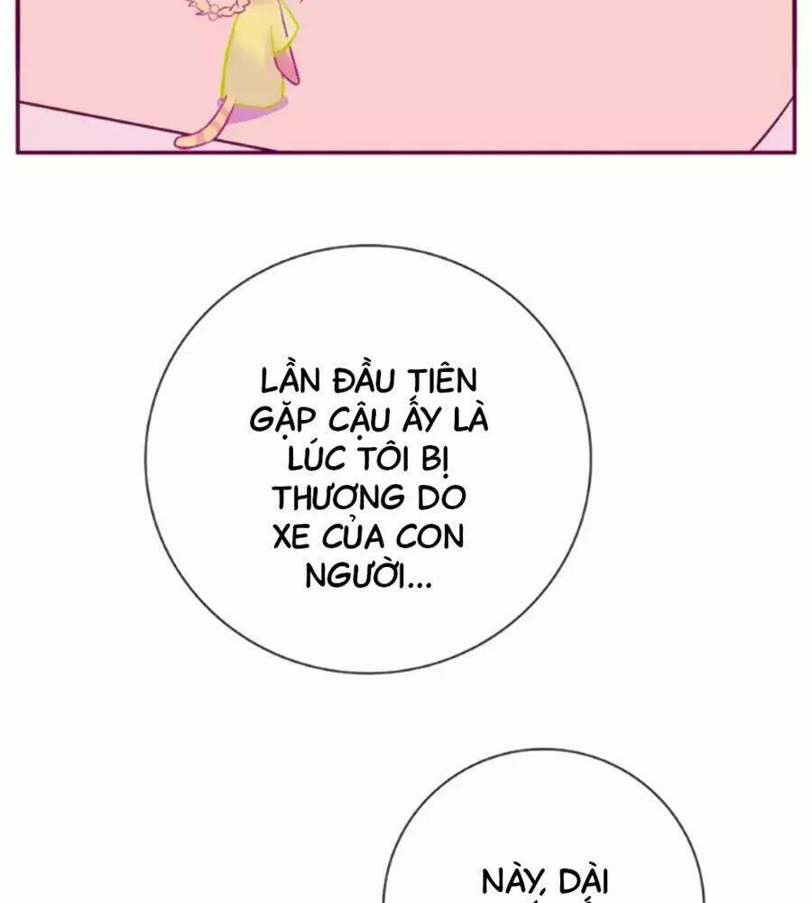 Đừng Nghịch, Ta Chỉ Muốn Yên Tĩnh: Chapter 63