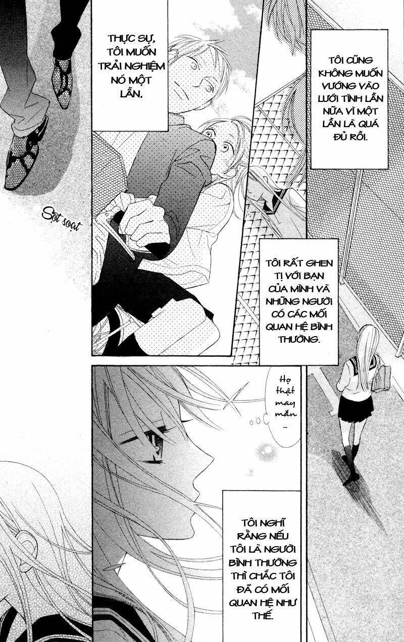 Hoa Trong Bão: Chapter 2