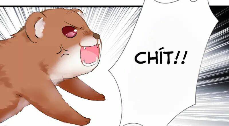 Hành Trình Sủng Đế Cơ: Chapter 1