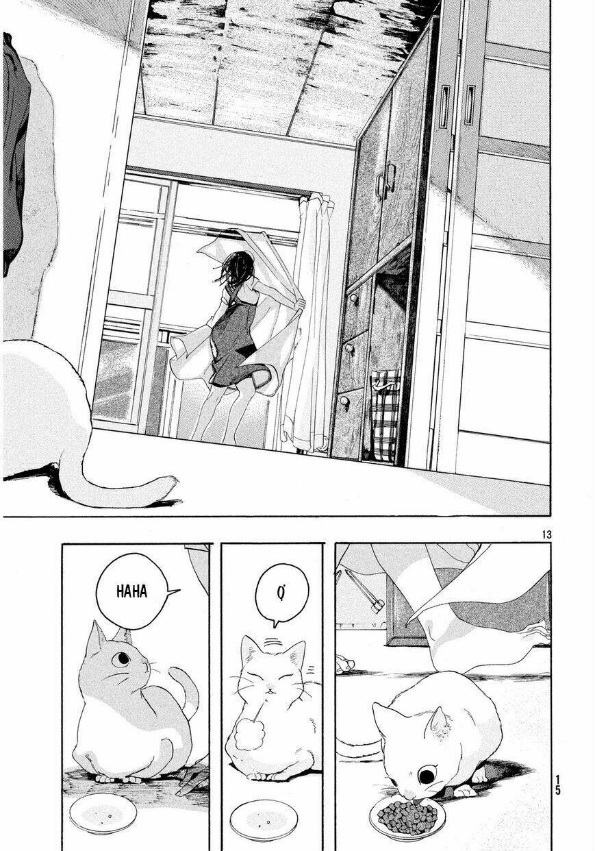 Chú Mèo Và Cô Chủ: Chapter 1