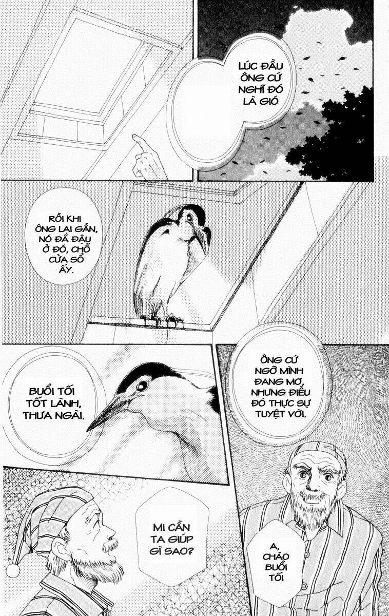 Lời Thì Thầm Từ Trái Tim: Chapter 5