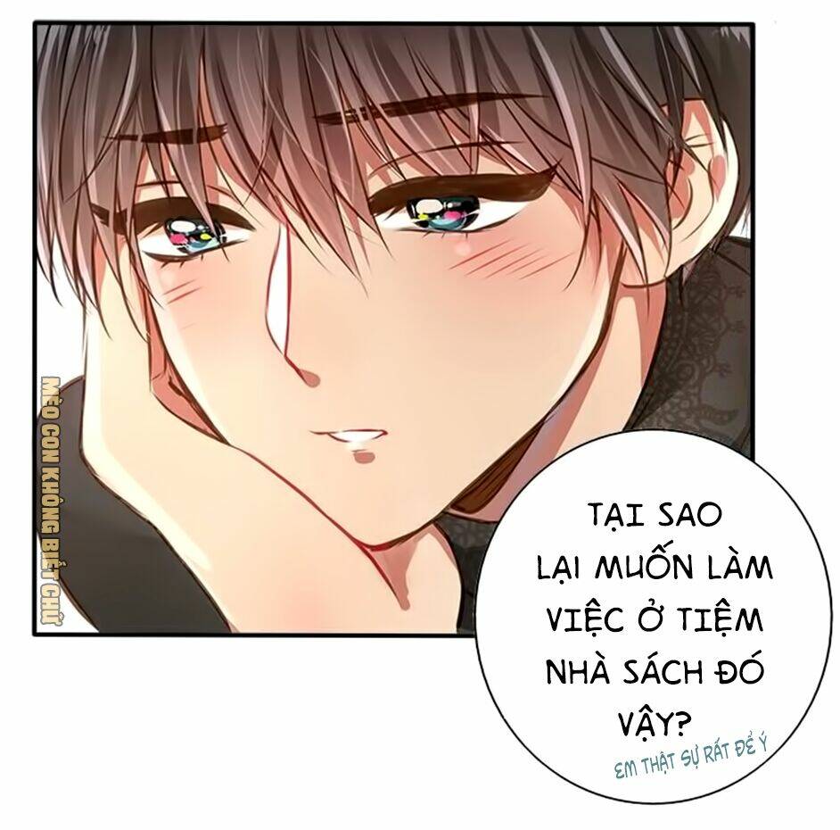 Không Có Ssr Làm Sao Để Yêu: Chapter 11
