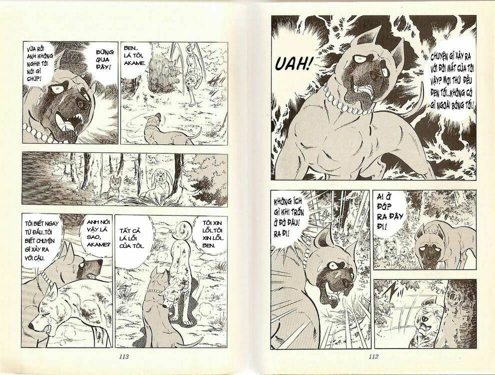 Chú Chó Có Nghĩa - Ginga Nagareboshi Gin: Chapter 20