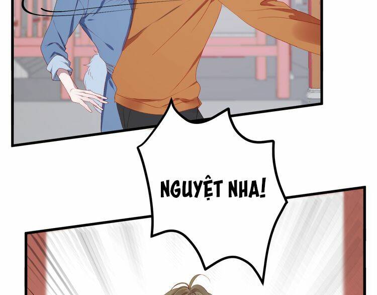 Lượm Được Một Tiểu Hồ Ly 2: Chapter 64