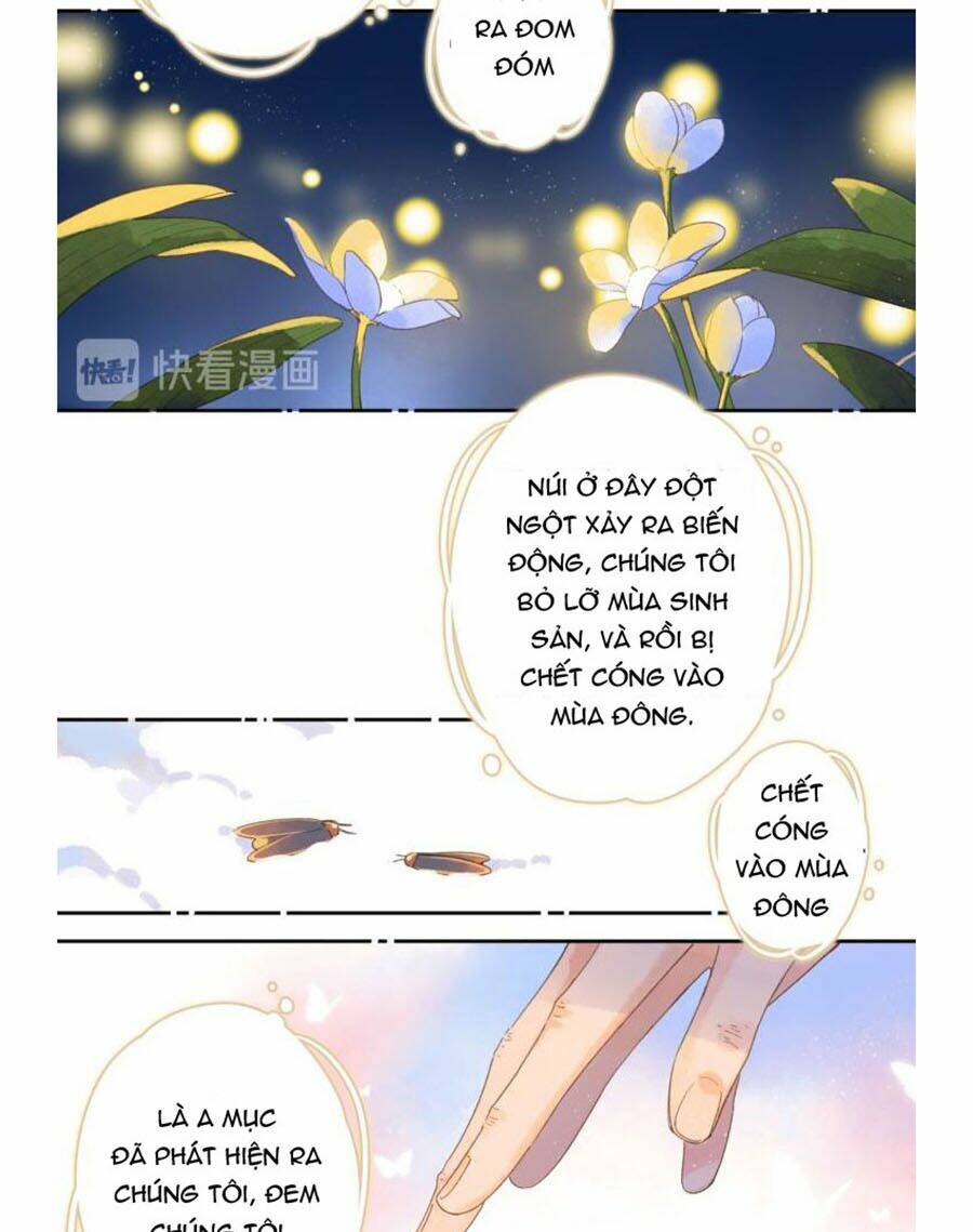 Sos! Tôi Đã Yêu Một Con Sâu Bướm (Phần 2): Chapter 4