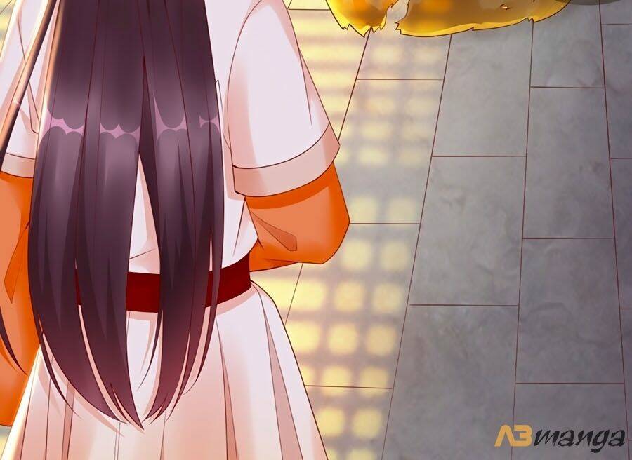 Vương Phi Là Đoá Bạch Liên Hoa: Chapter 1