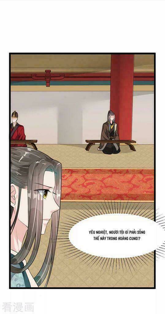 Đế Vương Sợ Vương Phi Muốn Sở Hữu Thiên Hạ: Chapter 13